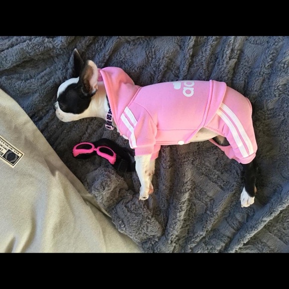 Follow game.  let’s keep growing together - Picture 6 of 6